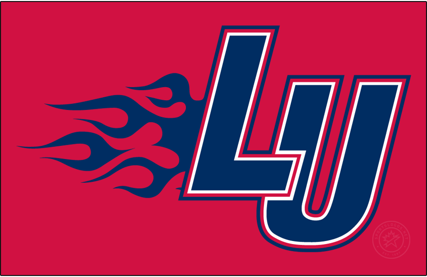 Liberty Flames 2000-2003 Primary Dark Logo diy iron on heat transfer